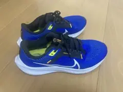 ペガサス40