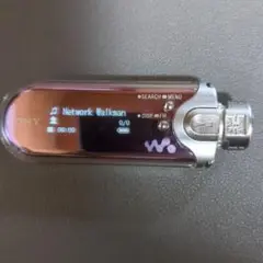 SONY NW-E507 アズールブルー SONY NW-E507 [1GB] 価格比較 - 価格.com