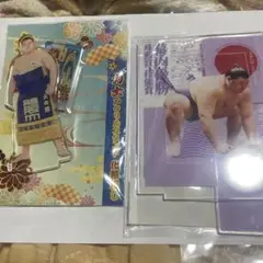 大の里アクリルスタンド 2種セット