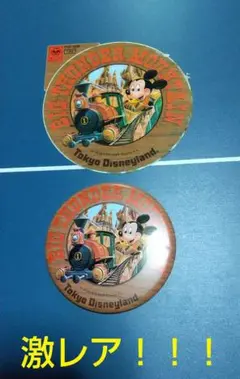 ビッグサンダー・マウンテン ディズニー ステッカー&缶バッジセット 匿名配送
