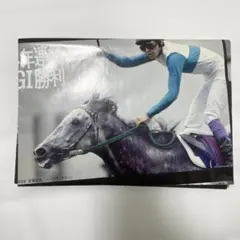 阪神競馬場70周年記念ポスター　メジロマックイーン　競馬