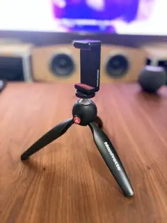 Item thumbnail for item a58213ce-e274-4cd4-a8bb-764854d0c468