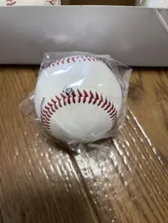 硬球野球練習球