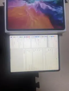 Apple iPad Pro 12.9インチ 第4世代256GB
