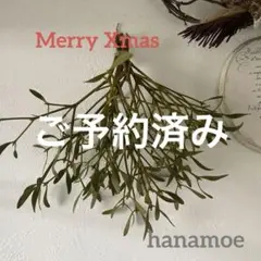 北海道ヤドリギ　スワッグ 宿木　合格祈願　縁起物　no2希少　メス実付き