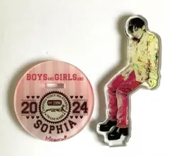 SOPHIA アクスタ 缶バッジ 松岡充 赤松芳朋 SOPHIA アクスタ 缶バッジ 松岡充 赤松芳朋最高