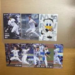 プロ野球チップス2025第1弾　千葉ロッテマリーンズ