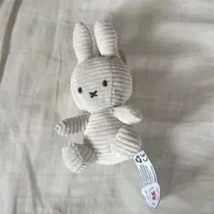 Item thumbnail for item f10168a0-cd1d-4939-b22a-1b87a22a5e79