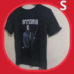 【30日限定】値下げ中STING　プロレス　　WWE　NWO　スティング　S