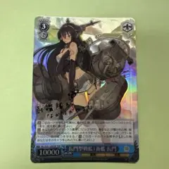 情報と感情 長門 ＳＰ 情報と感情 長門 SP ヴァイスシュヴァルツ 情報と感情 長門(Ssy