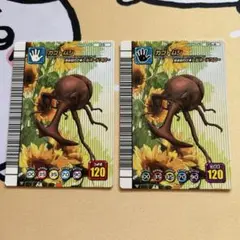 ムシキング カブトムシ 5周年 セット