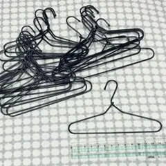 Item thumbnail for item e83c6fcc-494d-468a-889d-9d126f2a371a