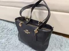 Item thumbnail for item 2e205a28-773a-4bdd-8693-f0f644db1669