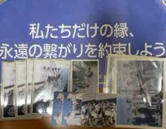 &TEAM スローガン アルバム 特典 セット