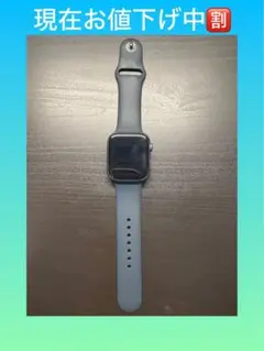 Apple Watch グレー 本体(SEの44mm)
