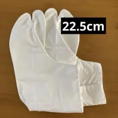 Item thumbnail for item 3d4a4388-455e-4a7b-9127-b8f6947866a4