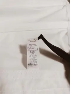 Item thumbnail for item 2a04e723-084b-44bd-b32b-55e35e36b9b2