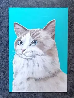 A3サイズ＊お部屋が明るくなるアート＊優しいラグドール猫