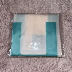 ターコイズ ホワイト　エコバッグ シンプルデザイン　コジマ