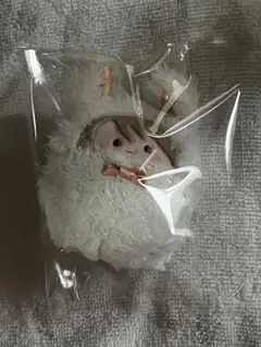 スタマイ 桧山 くるみたぴぬい