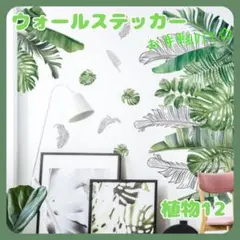 ウォールステッカー植物１２壁紙シールおしゃれ北欧風部屋飾りDIYインテイリア人気
