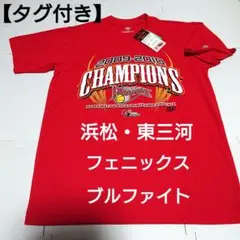 Item thumbnail for item fc8952a1-31da-470f-86ff-c4057a221ba8