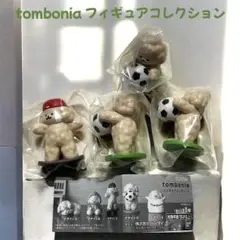 Item thumbnail for item 582a7d82-3ac6-48ae-a4d2-513207d85997