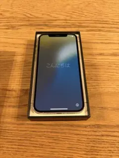 Apple iPhone12Pro シルバー 本体 256GB SIMフリー