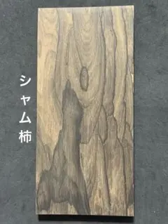 Item thumbnail for item 939fadb5-c851-4e91-8687-d0794af442e1