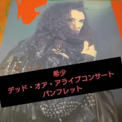 デッド・オア・アライブ　コンサートパンフレット