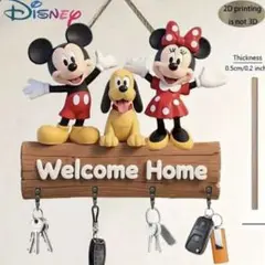 Disney ウェルカムボード ミッキー ミニー プルート
