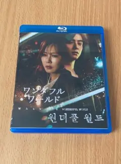 韓国ドラマ ワンダフルワールド Blu-ray