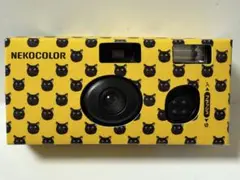 Item thumbnail for item 43579265-f59d-497d-aff9-caa9abf88e3c