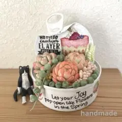 樹脂粘土多肉　(リメ缶寄せ植え) 14