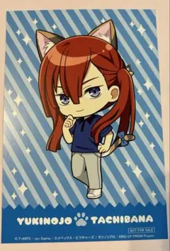 キンプリ キンツア プリズムにゃんこ ポストカード 特典 ユキノジョウ