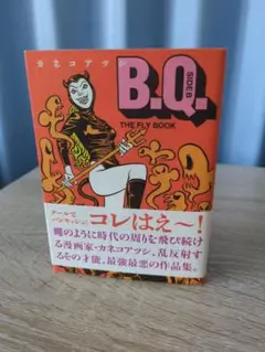 B.Q side B (The fly book)