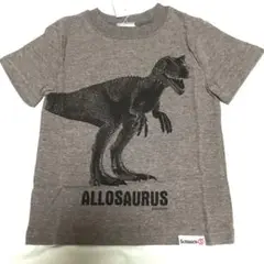 【新品】シュライヒ　アロサウルス　Tシャツ　110cm