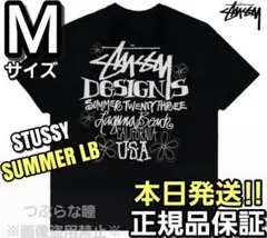 STUSSY ブラック Tシャツ Mサイズ SUMMER LB TEE