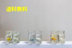 固まるハーバリウム 送料無料 匿名配送 翌日配送