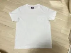 THE NORTH FACE 【ノースフェイス パープルレーベル】　Tシャツ M