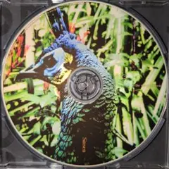中古CD SINSEN mix CD-R