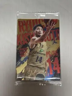 【ツインウエハース】Bリーグ日本代表 岸本隆一