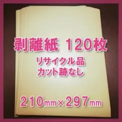 シール台紙(剥離紙)A4/120枚/クリーム色