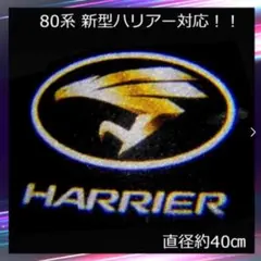 【最安】新型80系ハリアー対応 楕円 白×ゴールド カーテシライト 2個