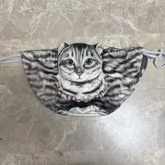 Item thumbnail for item a9d30579-fe8d-41cb-bd0c-79211291c3b3