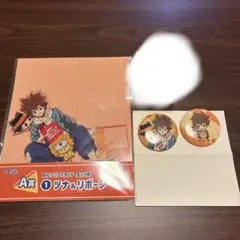 5 リボーン ひこくじ クリアスタンド 缶バッジ 沢田綱吉