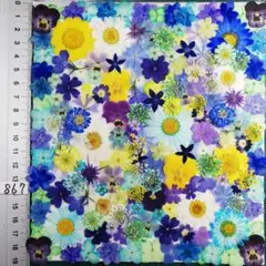 押し花素材　NO867 ノースボール ビオラ 紫陽花　バーベナ 小花　押し花