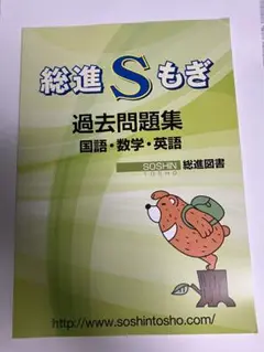 総進Sもぎ 過去問題集