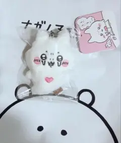 Item thumbnail for item 25079ad8-8962-41f1-b3ec-50a13595e0a4