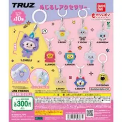 TRUZのめじるしアクセ